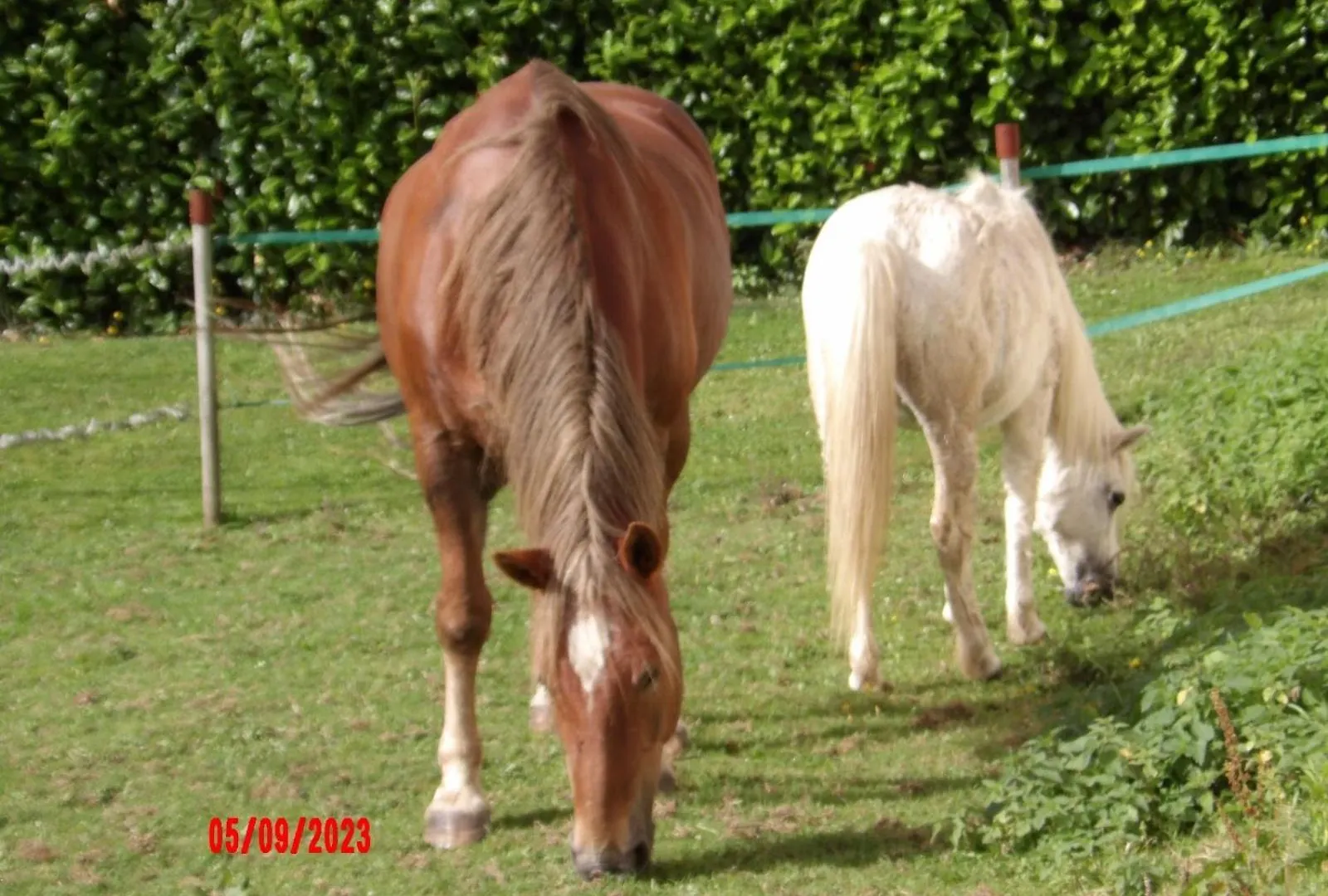 Holiday home Le Cheval D'En Fer Villa Begard